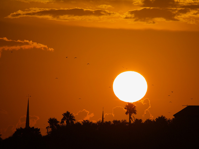 Charleston, SC Sunset Cruise
